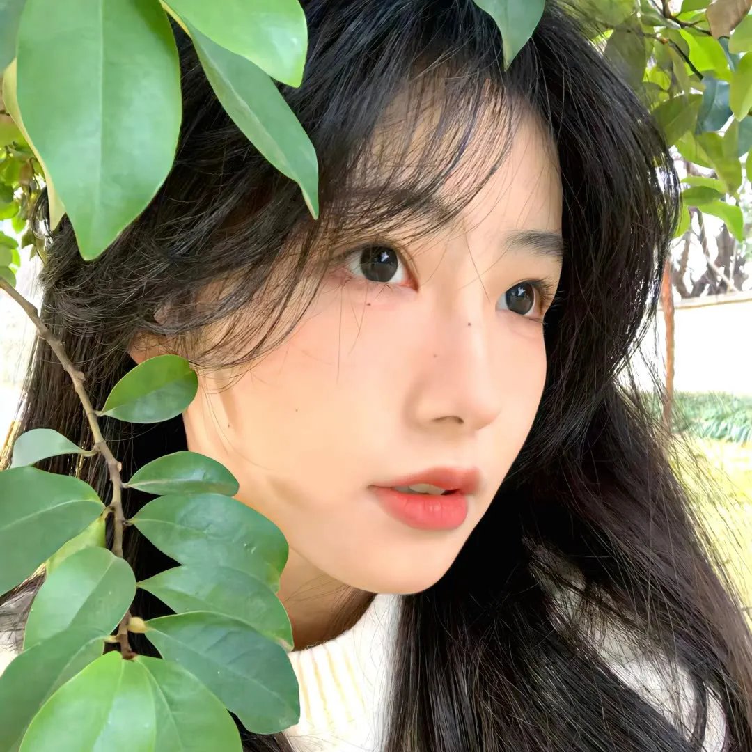 厨神小姐